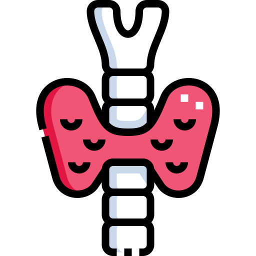 Endocrinologie icon